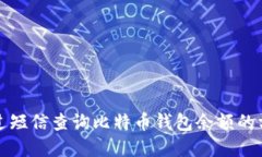如何通过短信查询比特币