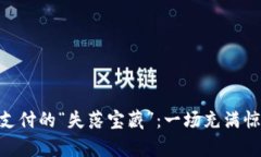 找回Tokenim支付的“失落宝