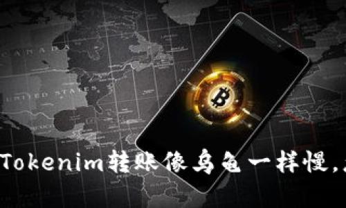 当你的Tokenim转账像乌龟一样慢，怎么办？