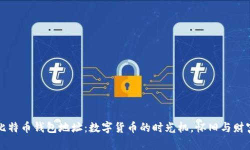 十年前的比特币钱包地址：数字货币的时光机，怀旧与财富的交汇点