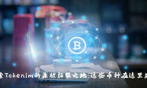 探索Tokenim的未被征服之地：这些币种在这里失声