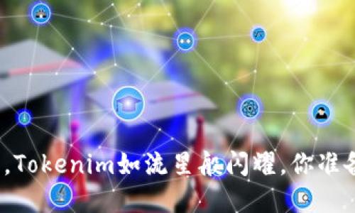 在币安智能链的星空中，Tokenim如流星般闪耀，你准备好捕捉这颗明星了吗？