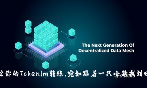 轻松追踪你的Tokenim转账，宛如跟着一只小狗找到回家的路