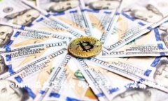 Tokenim：在数字经济的海洋