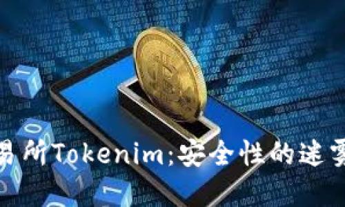 数字货币交易所Tokenim：安全性的迷雾与光明之路