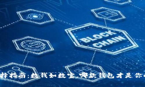 比特币钱包选择指南：数钱如数宝，哪款钱包才是你的财富守护神？