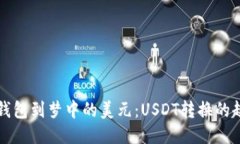 从电子钱包到梦中的美元