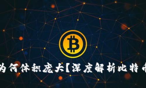 : 比特币官方钱包为何体积庞大？深度解析比特币钱包的设计与使用