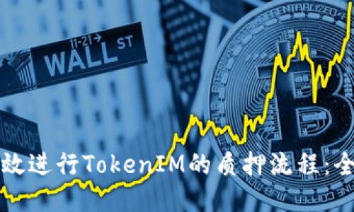 如何高效进行TokenIM的质押流程：全面指南