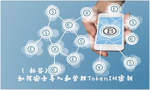  ( 标签)  
如何安全导入和管理TokenIM密钥