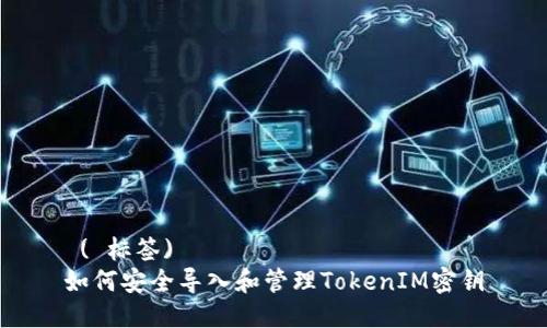  ( 标签)  
如何安全导入和管理TokenIM密钥