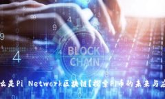 什么是Pi Network区块链？探