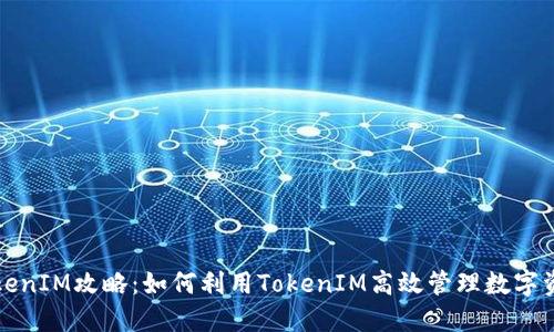 TokenIM攻略：如何利用TokenIM高效管理数字资产