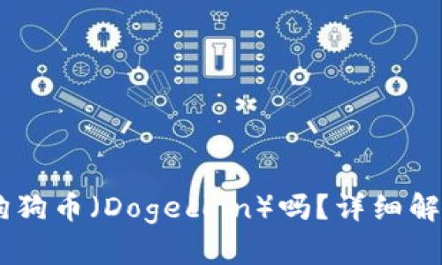 IM钱包支持狗狗币（Dogecoin）吗？详细解析及使用指南