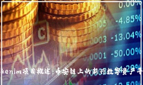 Tokenim项目概述：币安链上的新兴数字资产平台