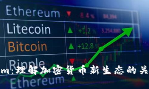 Tokenim：理解加密货币新生态的关键组件