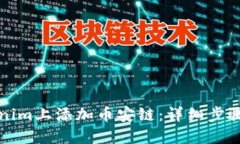 如何在Tokenim上添加币安链