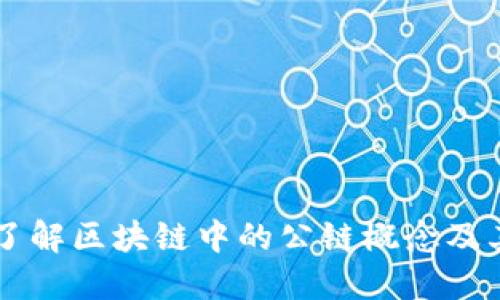 深入了解区块链中的公链概念及其应用