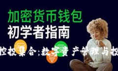 TokenIM控投集合：数字资产