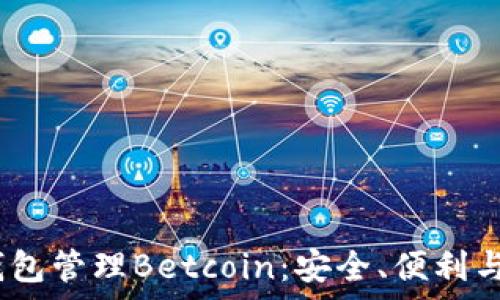   
如何使用Sol钱包管理Betcoin：安全、便利与未来趋势解析