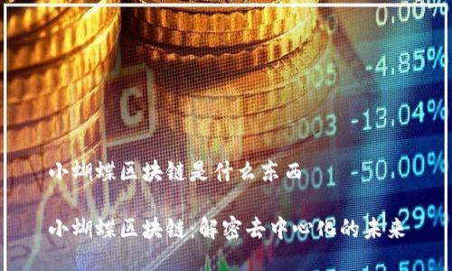 小蝴蝶区块链是什么东西

小蝴蝶区块链：解密去中心化的未来