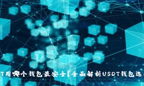 存USDT用哪个钱包最安全？全面解析USDT钱包选择指南