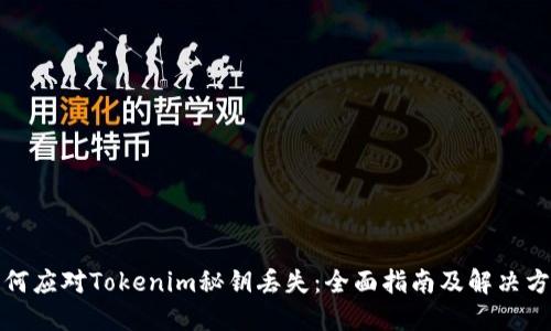 如何应对Tokenim秘钥丢失：全面指南及解决方案