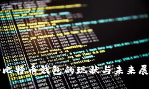 好比特币钱包的现状与未来展望