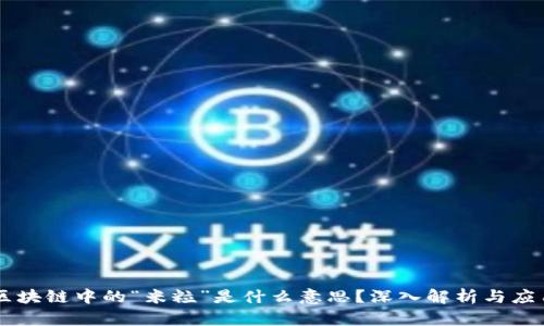 区块链中的“米粒”是什么意思？深入解析与应用