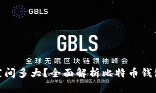 : 比特币钱包空间多大？全面解析比特币钱包的容量与管理