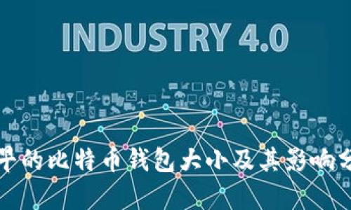 最早的比特币钱包大小及其影响分析