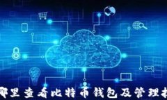 在哪里查看比特币钱包及