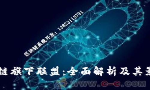 区块链旗下联盟：全面解析及其影响力