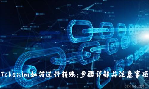Tokenim如何进行转账：步骤详解与注意事项