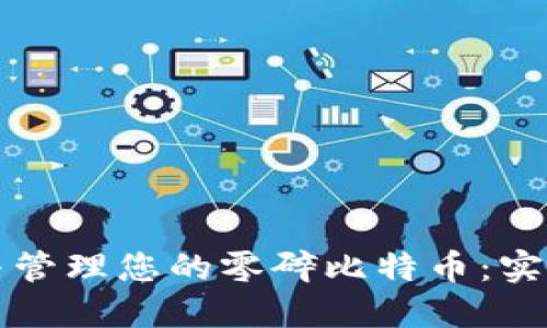 如何整理与管理您的零碎比特币：实用钱包指南