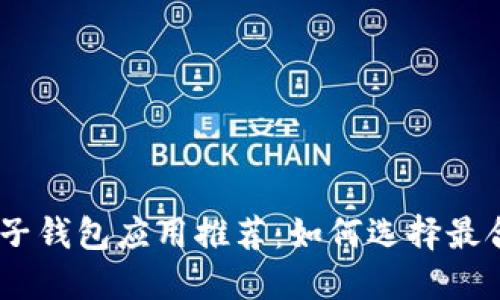 比特币电子钱包应用推荐：如何选择最合适的APP