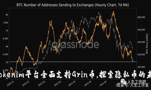  Tokenim平台全面支持Grin币，探索隐私币的未来