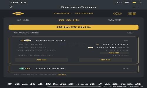 常用比特币钱包推荐：iOS用户的最佳选择
