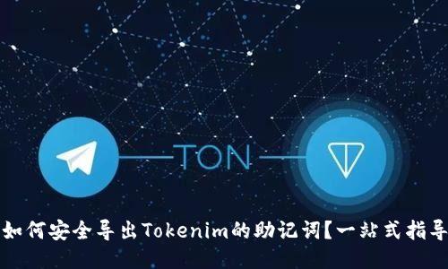 如何安全导出Tokenim的助记词？一站式指导