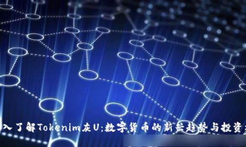 : 深入了解Tokenim灰U：数字货币的新兴趋势与投资机会