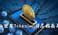 如何在国内使用Tokenim：详