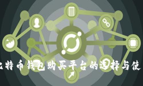 详解比特币钱包购买平台的选择与使用指南