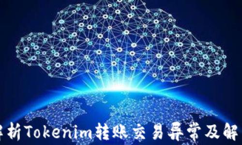 
深入解析Tokenim转账交易异常及解决方案